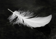 FLOATING- taulu FLOATING- taulu