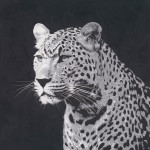 LEOPARDI-taulu LEOPARDI-taulu